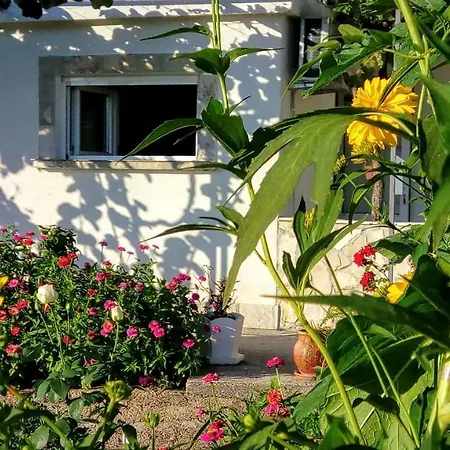 Apartmani Bosco Tivat Exterior photo