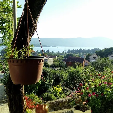 Apartmani Bosco Tivat Exterior photo