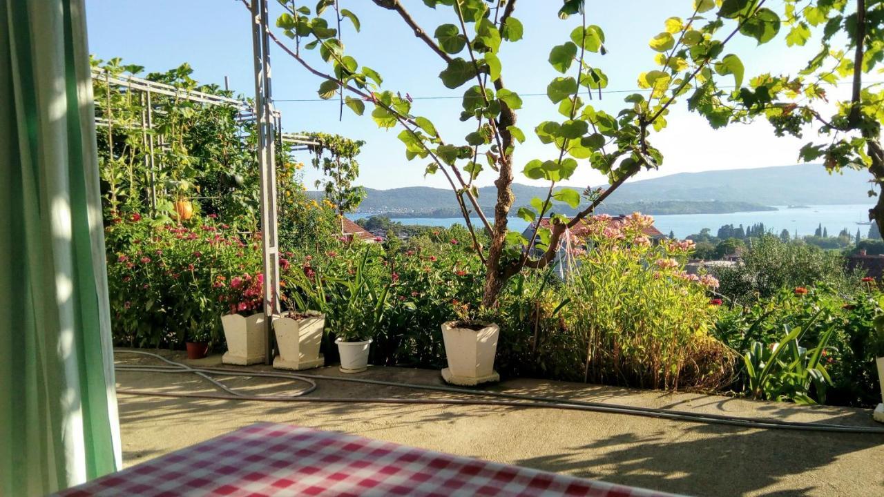 Daire Bosco Tivat