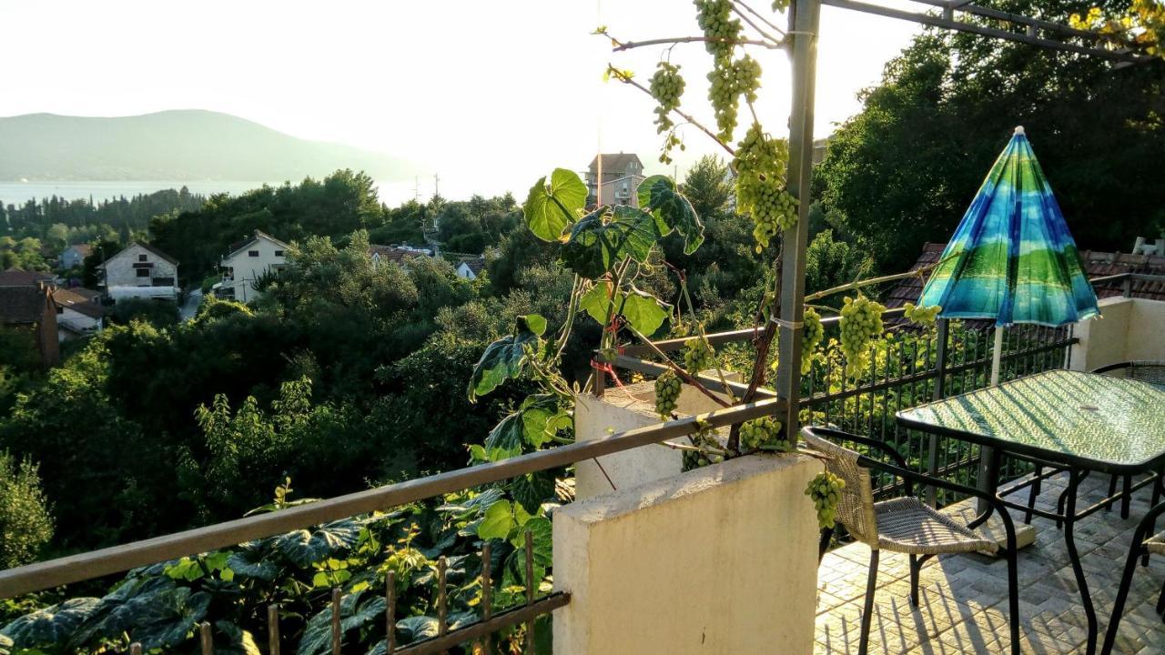 Bosco Tivat