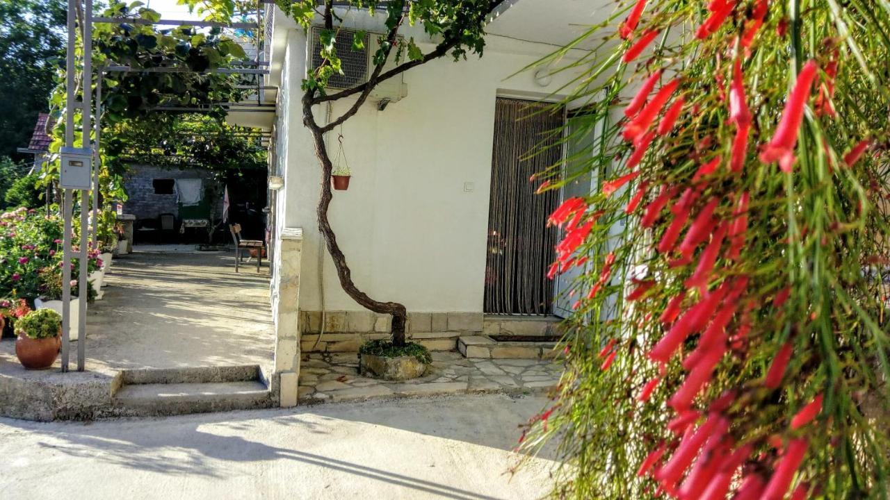 Daire Bosco Tivat