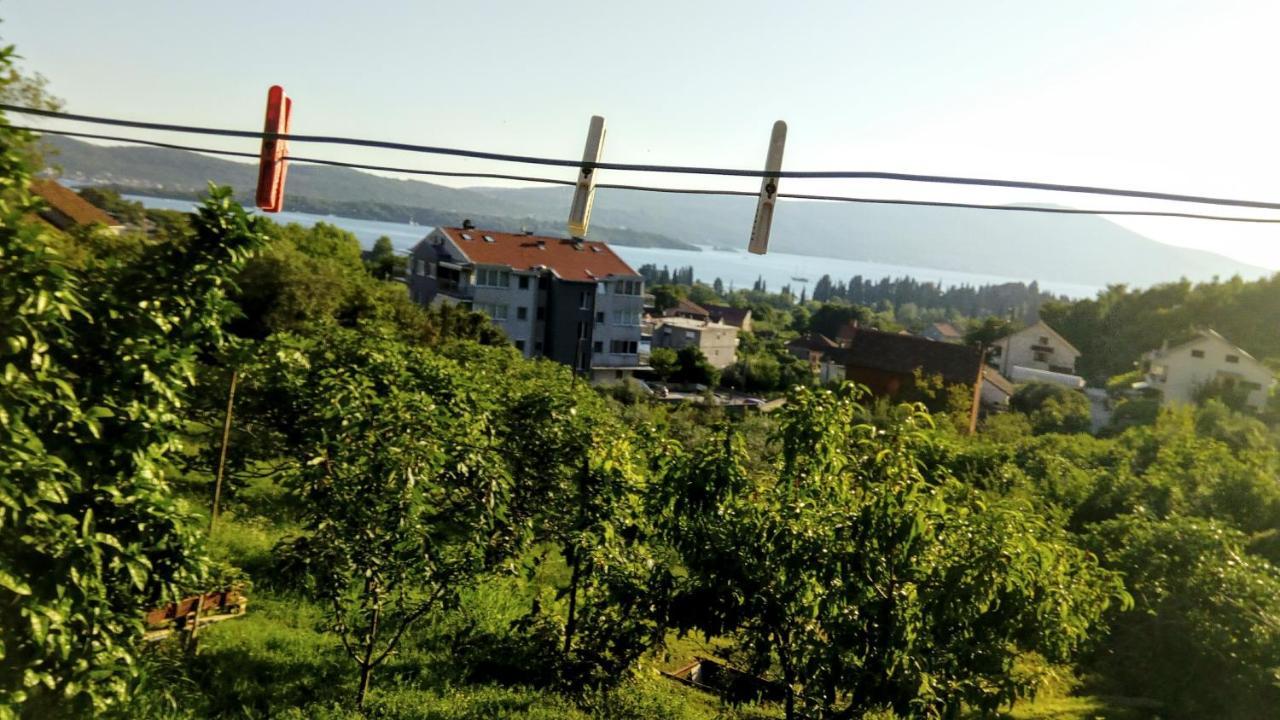 Daire Bosco Tivat