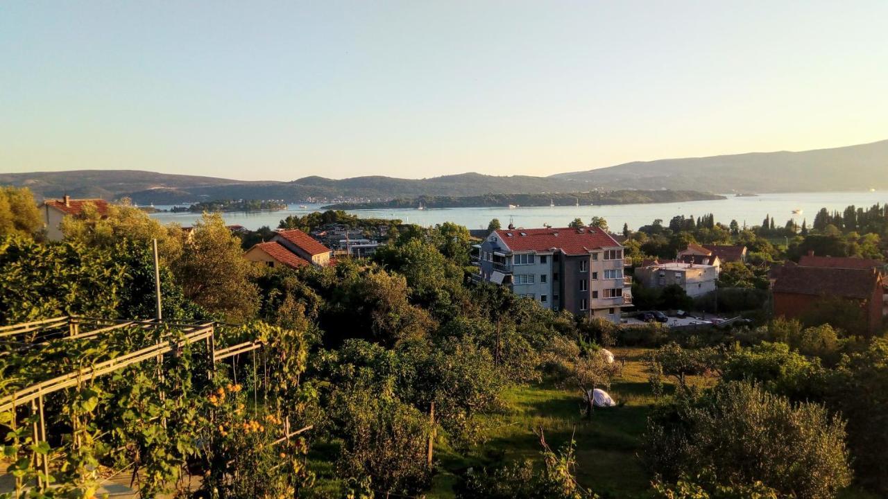 Bosco * Tivat