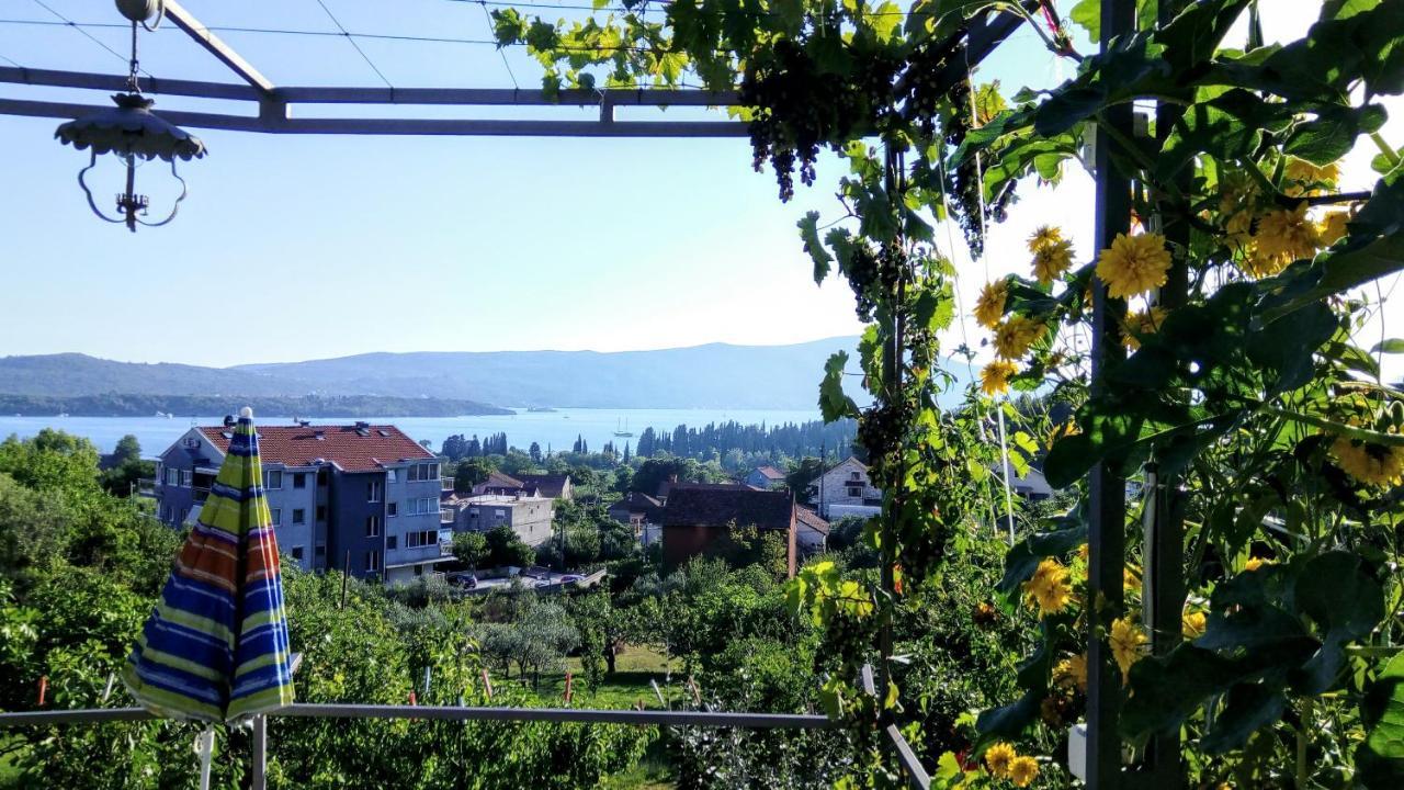 Daire Bosco Tivat